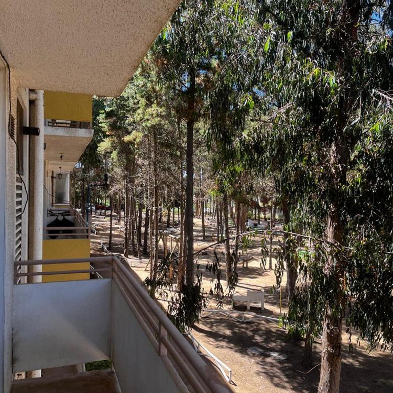 Acogedor departamento familiar en El Tabo - Three-Bedroom Apartment - 6