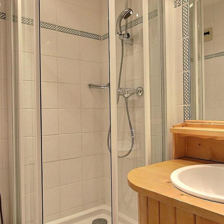 Spacieux duplex 8 pers au pied des pistes à Belle Plagne - FR-1-455-285 - Apartment - 15