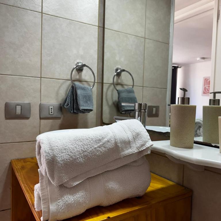 Andes Vista - General Flores - One-Bedroom Apartment - 8