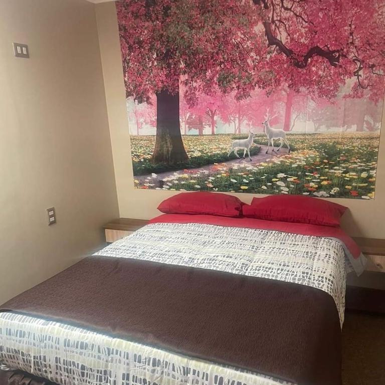 El valle 2 - Single Room - 2