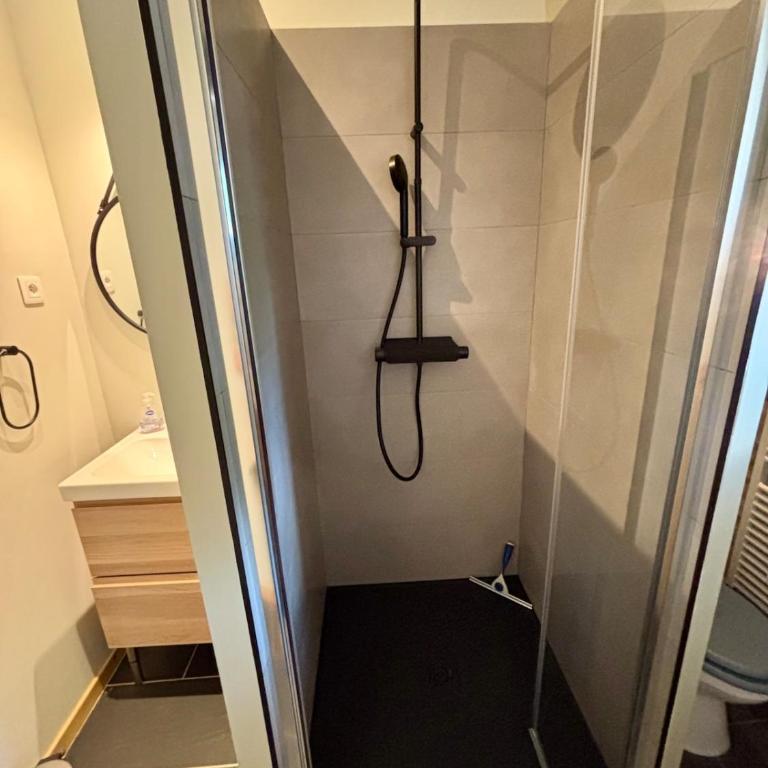 Charmante dépendance au coeur des alpes - Appartement 1 Chambre - 8