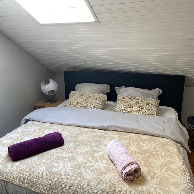 Charmante dépendance au coeur des alpes - Appartement 1 Chambre - 9