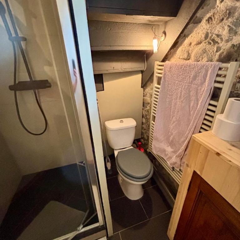Charmante dépendance au coeur des alpes - Appartement 1 Chambre - 18