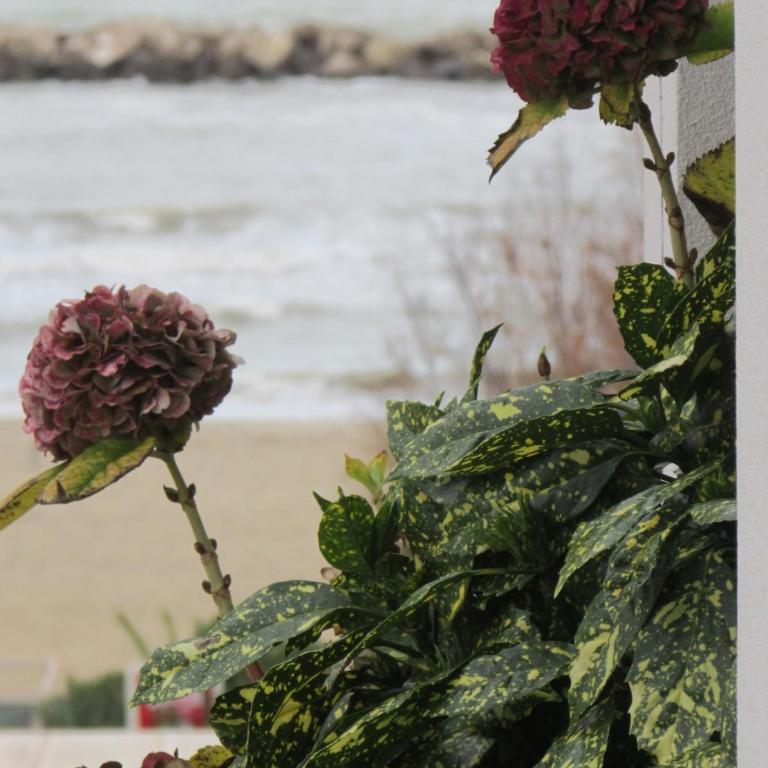 Sun Max- Appartamento vicino al mare per famiglie - Appartamento con 1 Camera da Letto - Lato Mare - 16