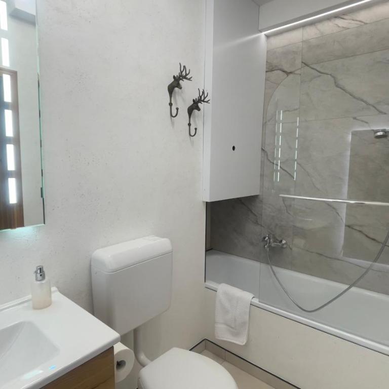 Bergkristall Ruhe und Aussicht auf 1100m - Appartement 1 Chambre - 10