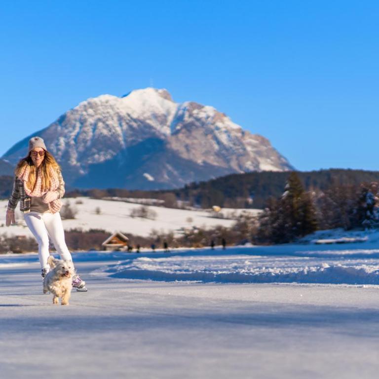 Alp Chalet Gundersheim - Chalet - 61