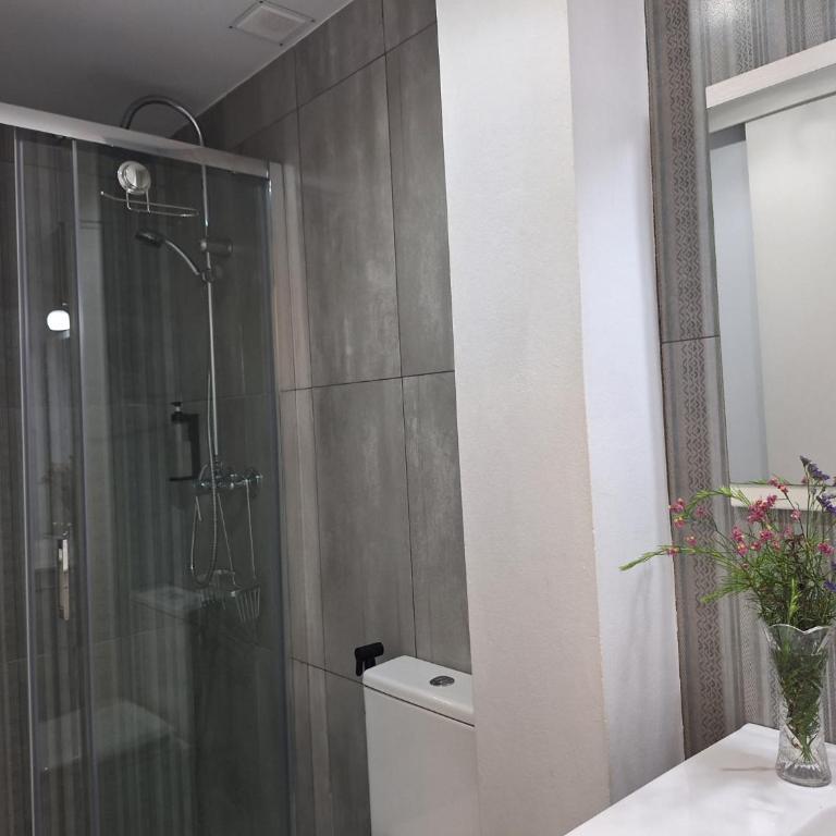 Apartamentos Puerta de Gijon - Apartamento Dúplex 2 - 22