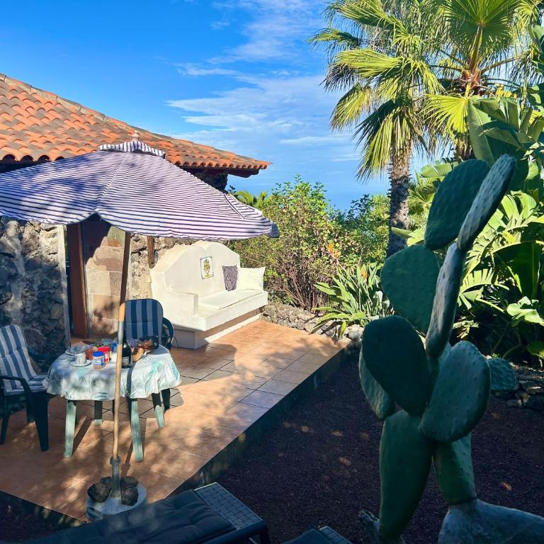 Finca Tenerife - Traumblick, tropischer Garten, viel Platz & Ruhe - One-Bedroom House - 12