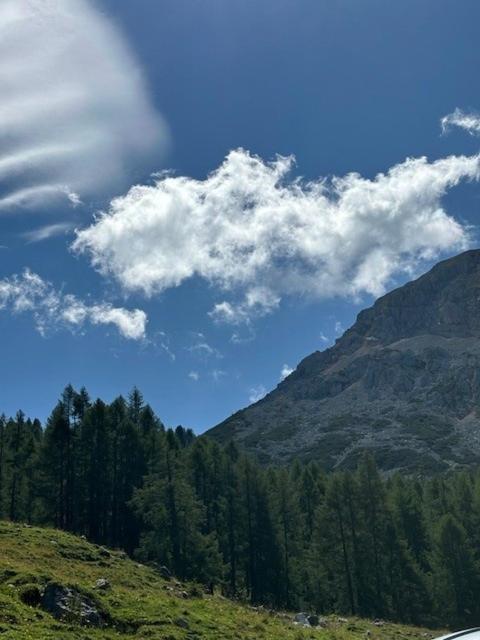 Grossbergblick - Apartamento de 2 dormitorios - 28