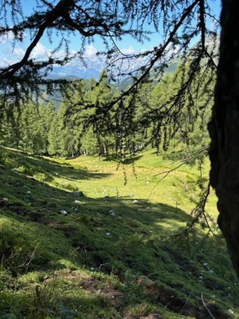 Grossbergblick - Apartamento de 2 dormitorios - 30