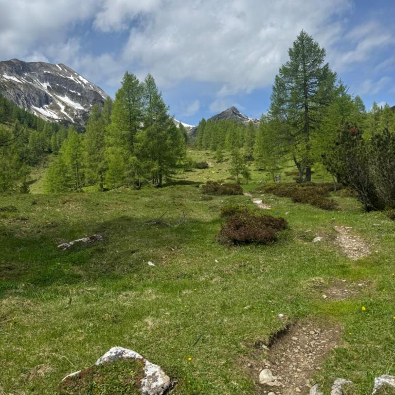 Grossbergblick - Apartamento de 2 dormitorios - 32