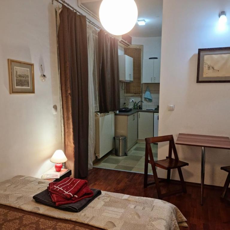 Belgrade center studio apartment - One-Bedroom Apartment - 37