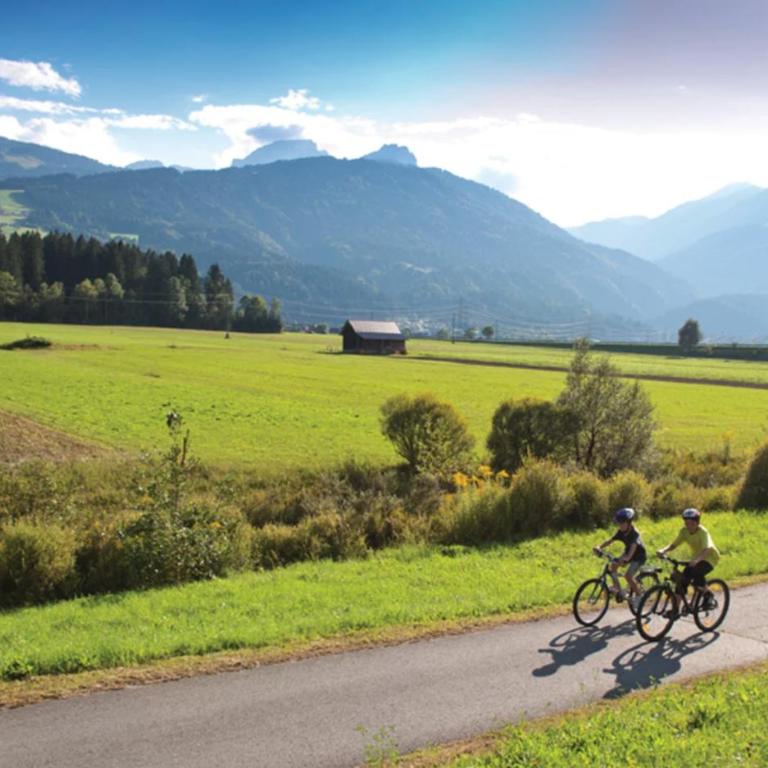 Alp Chalet Gundersheim - Chalet - 32