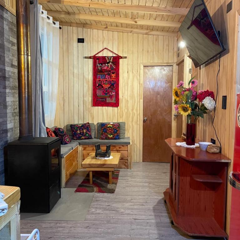 CABAÑA ORO RAYADO PUERTO MONtt - Casa de 3 dormitorios - 6