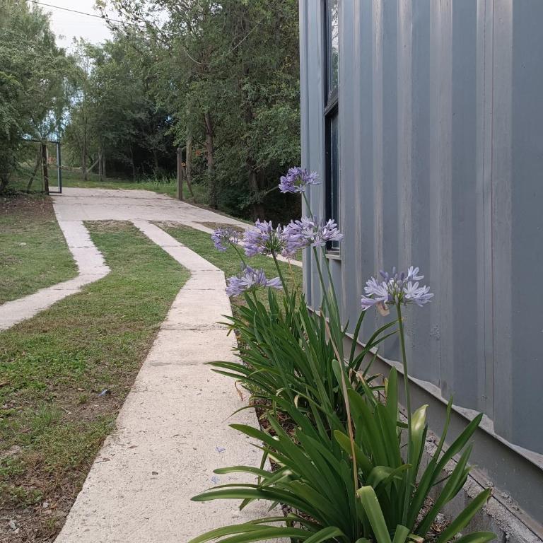 Aires de mar - Apartamento de 1 dormitorio - 12