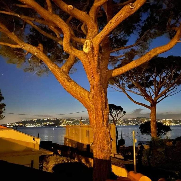 Waterfront Villa in Cap d Antibes - Maison 4 Chambres - 30