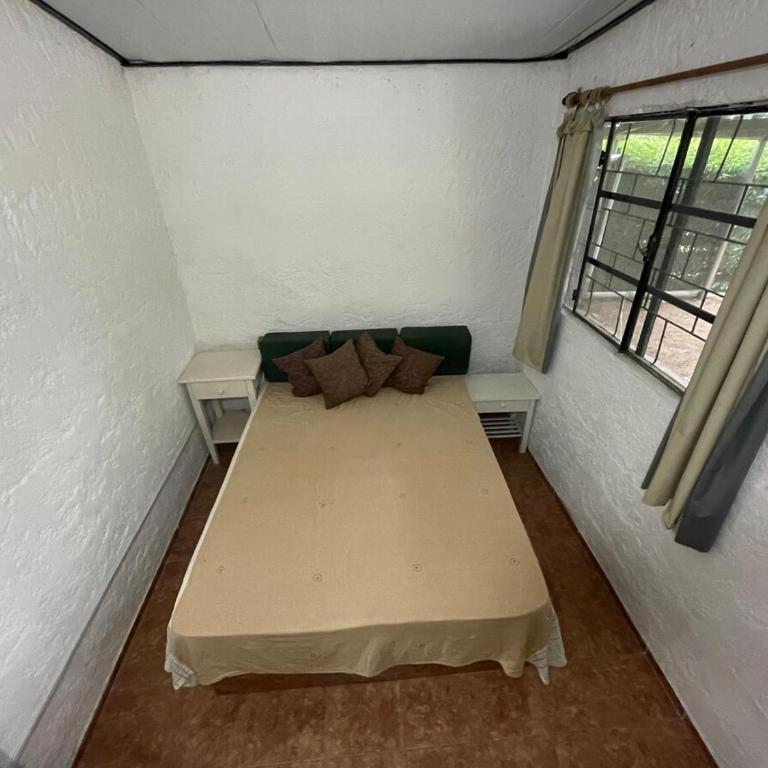 El Arroz - Two-Bedroom House - 4