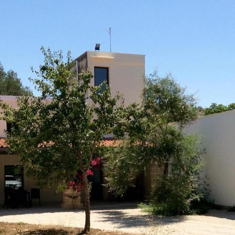 Perla apartment - One-Bedroom House - 11