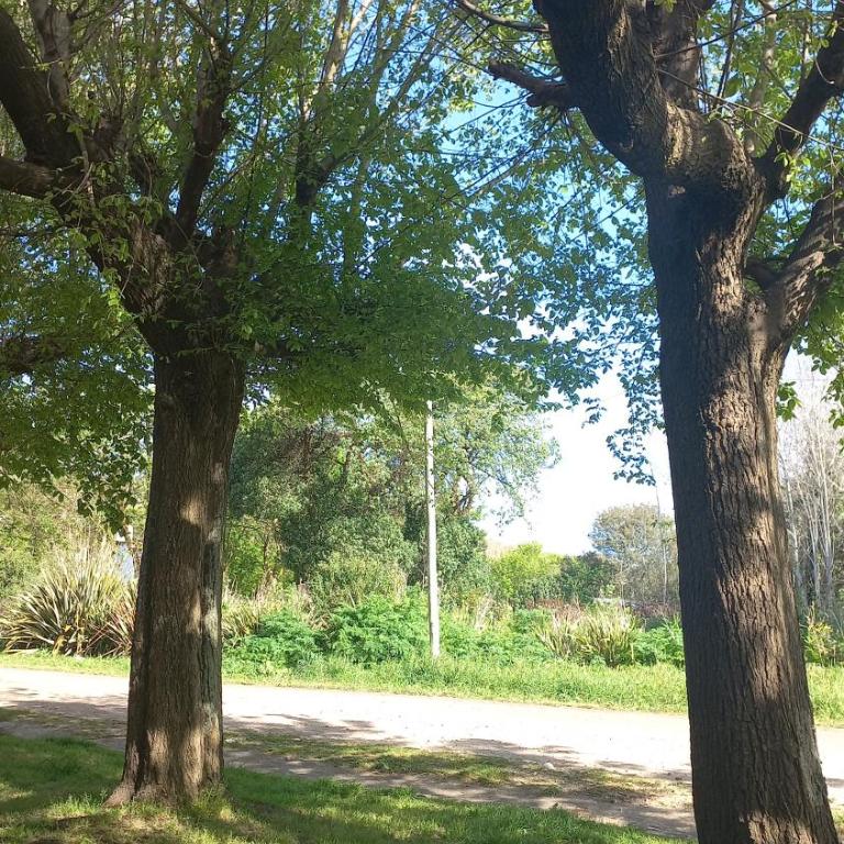 Refugio Mediterráneo en Chapadmalal - Apartamento de 1 dormitorio - 2