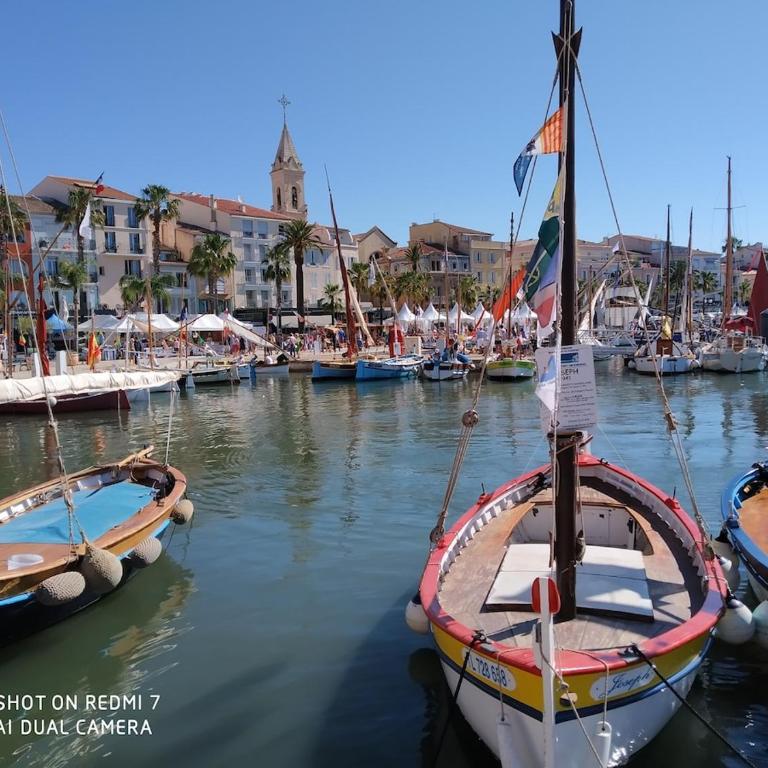 Au centre de Sanary, à 50m du port dans une magnifique rue pietonne - One-Bedroom Apartment - 30