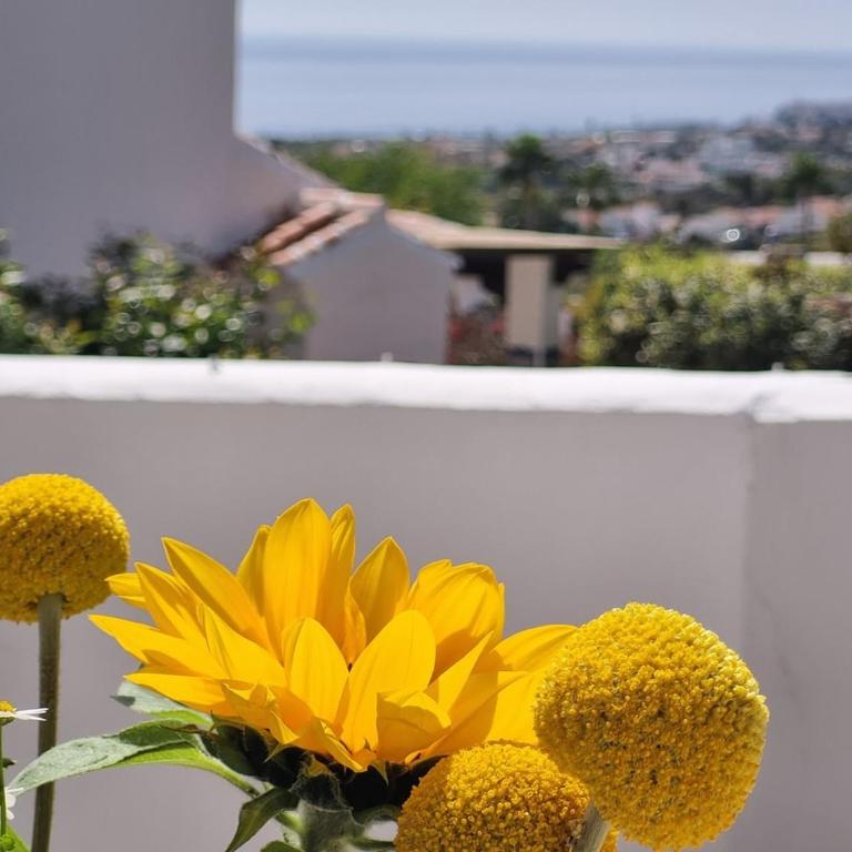 Apartment in Nerja - Apartamento Superior de 2 dormitorios - 4