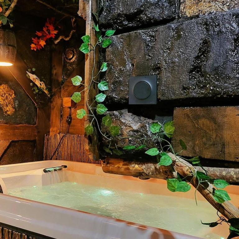 L'Auberge du Trône Romantique Médieval Jacuzzi - Appartement 1 Chambre - 4