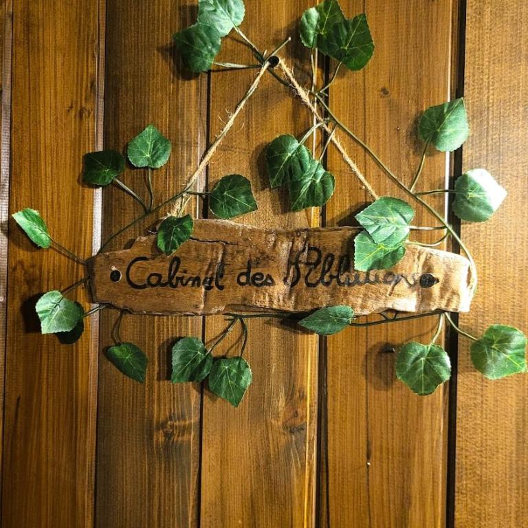 L'Auberge du Trône Romantique Médieval Jacuzzi - Appartement 1 Chambre - 28