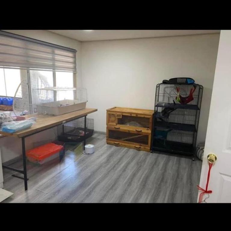 Amapola 3225 - One-Bedroom House - 6