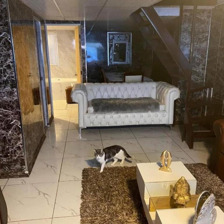 Amapola 3225 - One-Bedroom House - 23