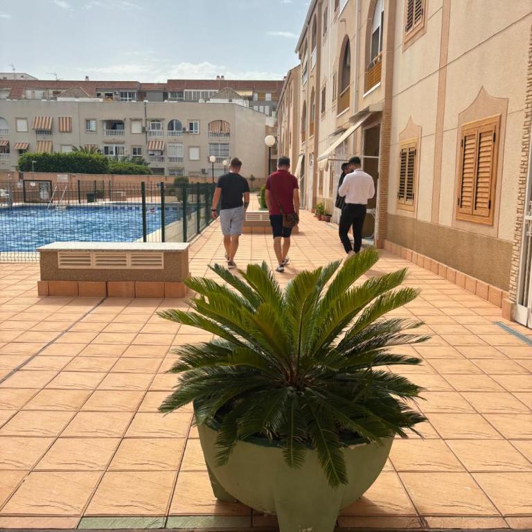 Family Apartament Torrevieja Long Stay - Apartamento de 2 dormitorios - 23