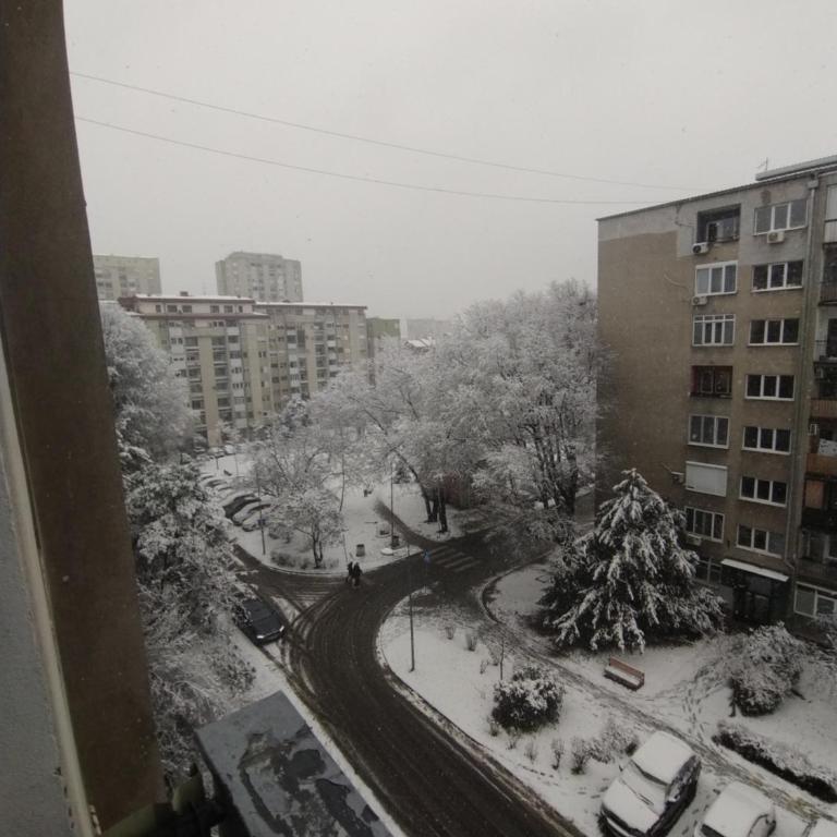 Novi Sad Serbia apartment - Apartman sa 1 Spavaćom Sobom - 34