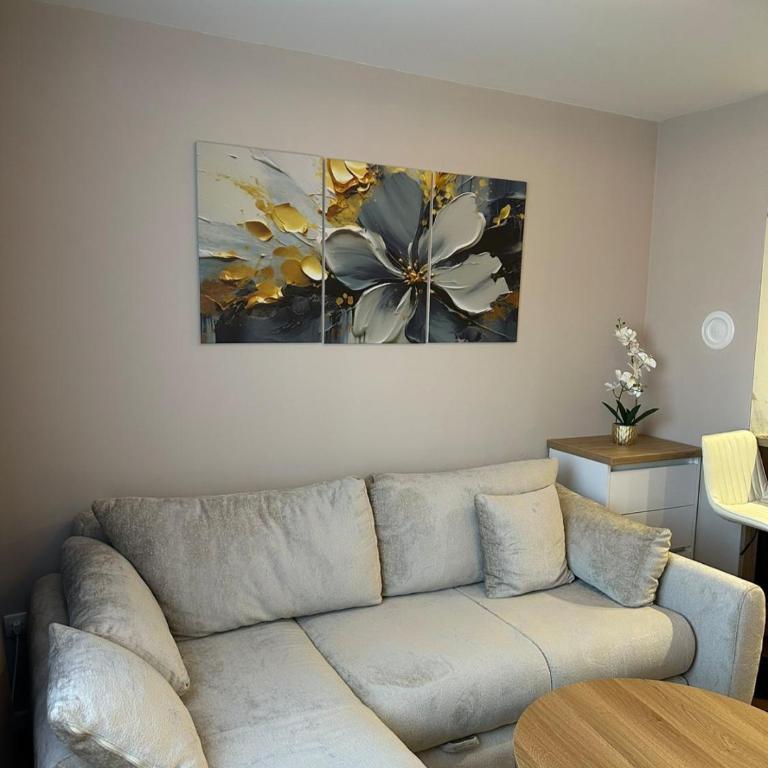 Sweet Home Pale - One-Bedroom Apartment - 11
