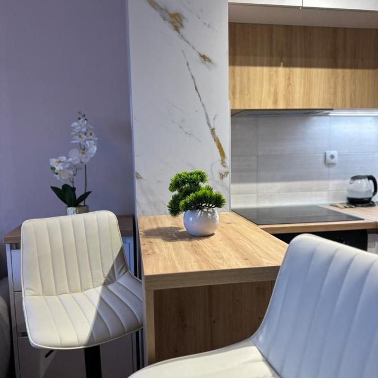 Sweet Home Pale - One-Bedroom Apartment - 12
