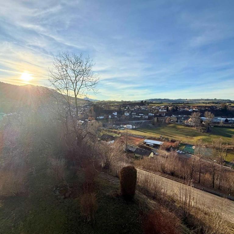 FeWo Aloisius im Allgäu - Über den Dächern von Nesselwang, Sonniger Balkon, Bergblick, Königscard inklusive - Apartment - 34
