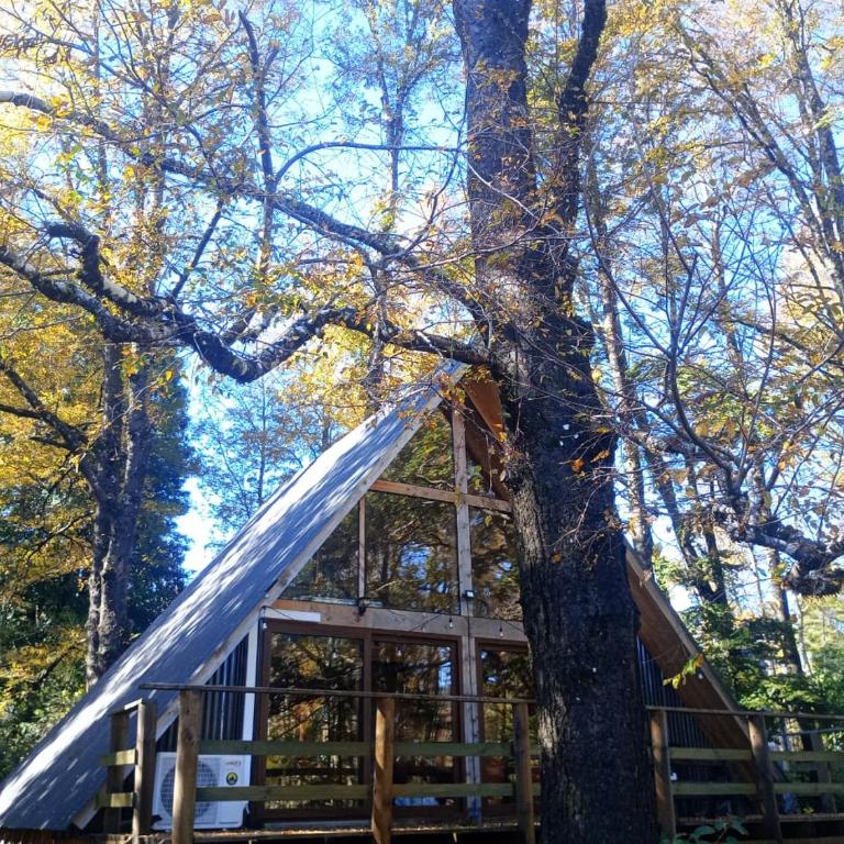 Cabañas bosque sur - One-Bedroom Chalet - 5