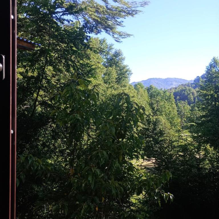 Cabañas bosque sur - One-Bedroom Chalet - 7