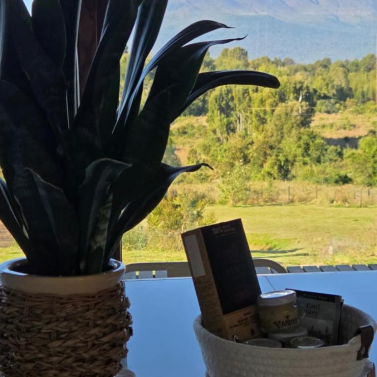 Casa Vulkaan - Casa de 3 dormitorios - 18