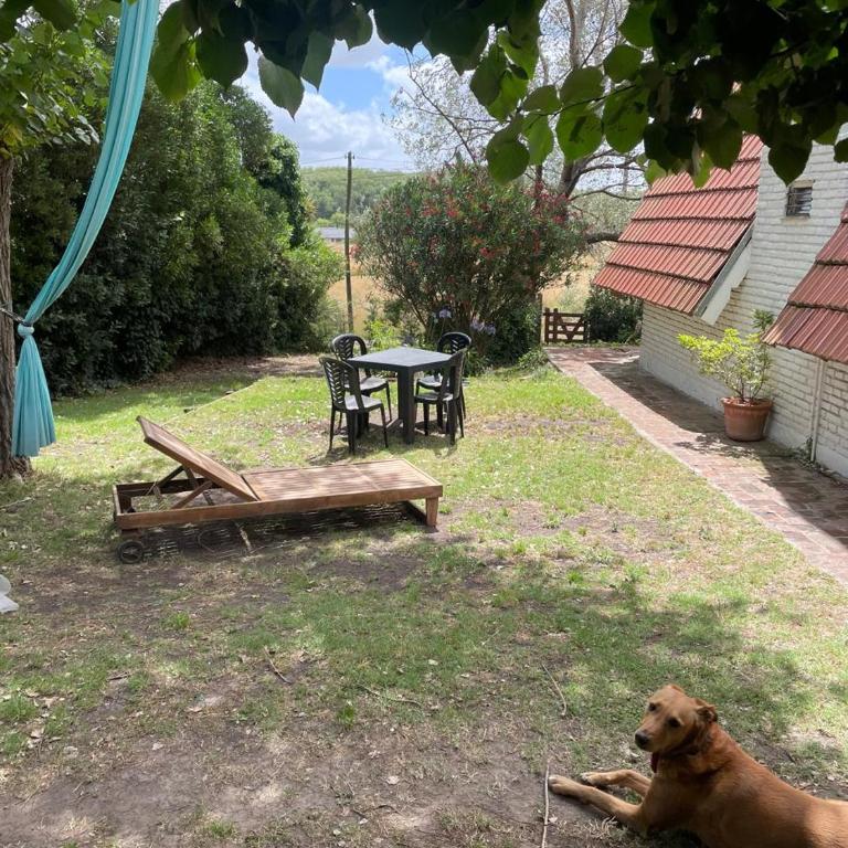 Welpen Chapa - Casa de 2 dormitorios - 16