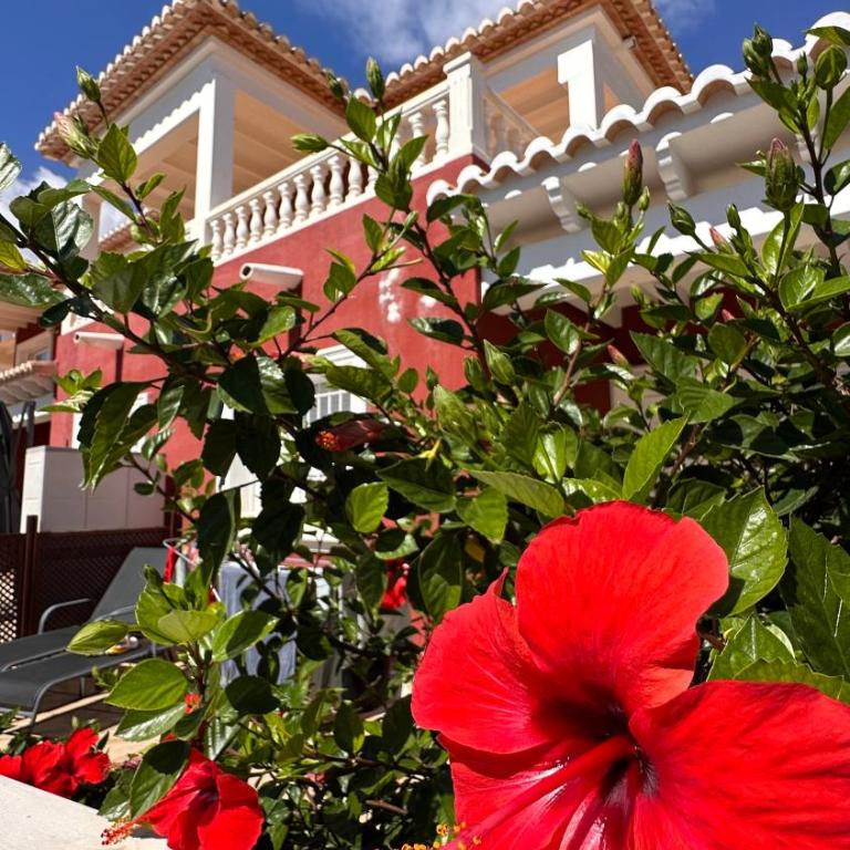Casa Amis Calpe - Apartamento de 2 dormitorios - 6