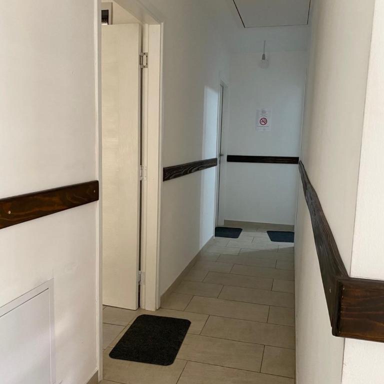 Apartments and Rooms Radivojević Niš - Double Room with Terrace - 9