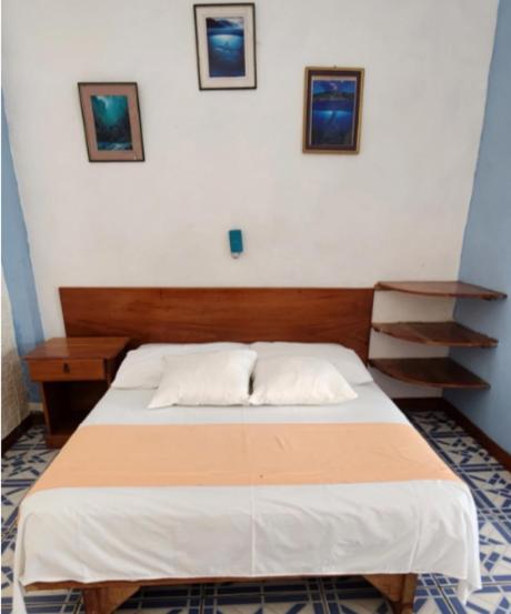 Penguin Hostel - Quadruple Room - 3