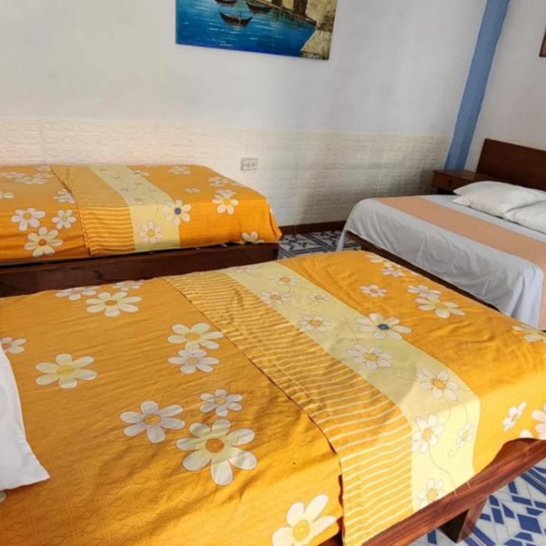 Penguin Hostel - Quadruple Room - 4