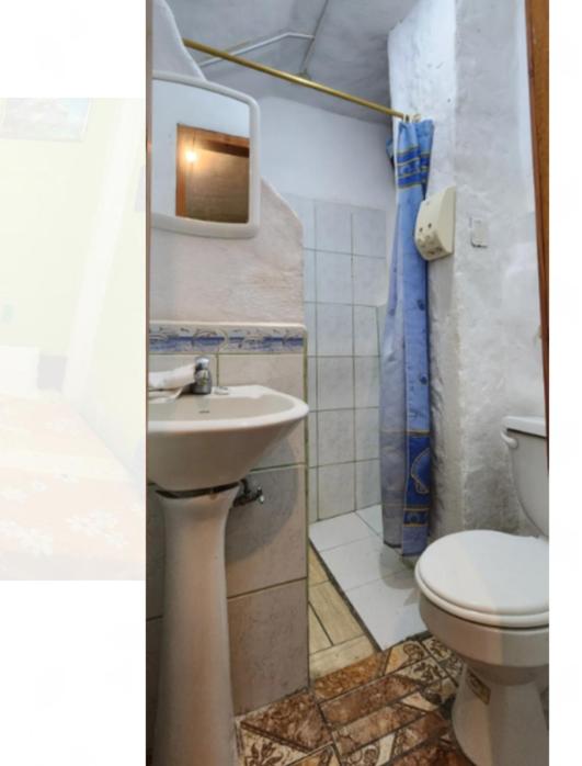 Penguin Hostel - Triple Room - 2