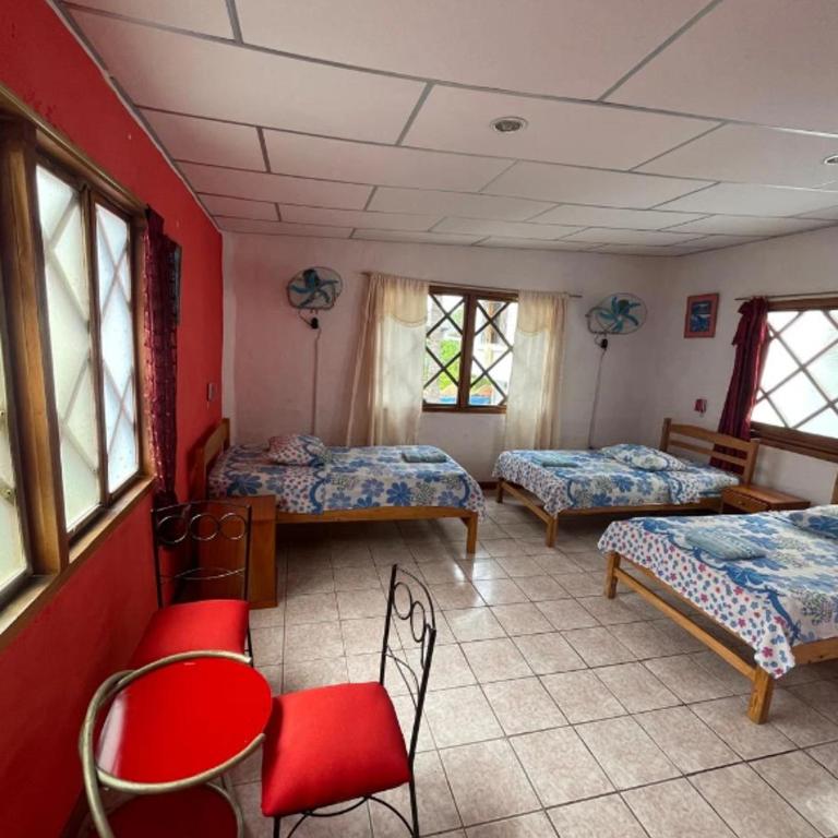 Penguin Hostel - Triple Room - 1