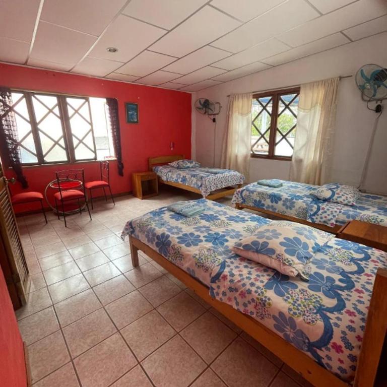 Penguin Hostel - Triple Room - 2