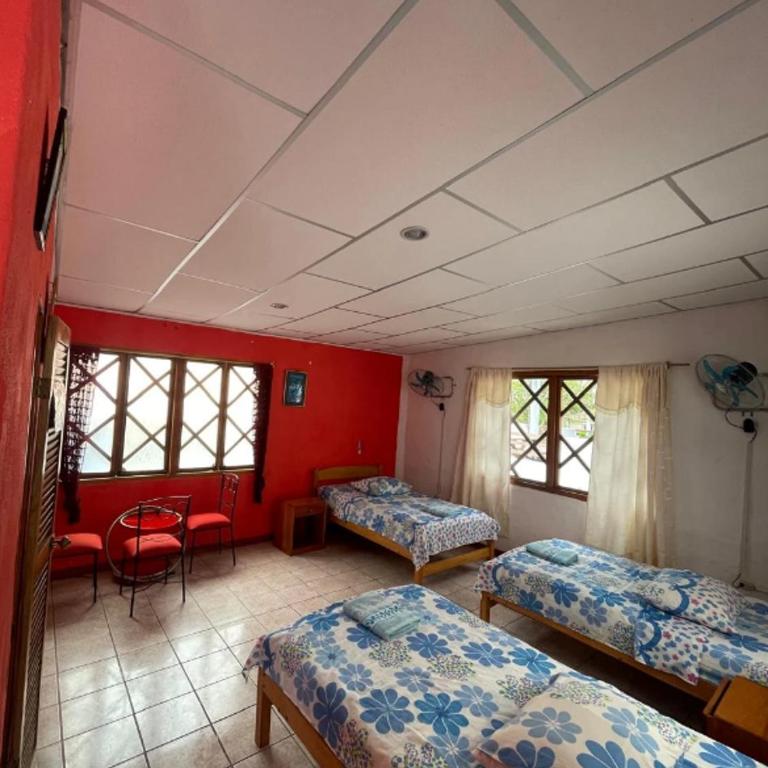 Penguin Hostel - Triple Room - 3