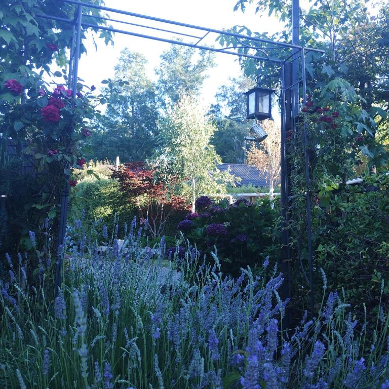 Cabaña Familiar Pétalos Villarrica - Casa de 3 dormitorios - 23