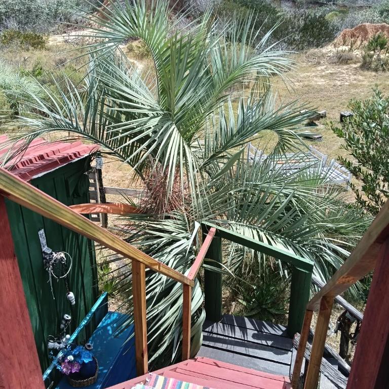 Biodiversidad - Family Double Room - 5