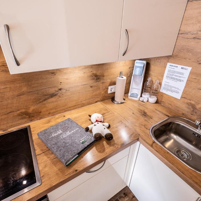 Apartment Motzenhof - Stadtnähe Salzburg - modernes Bauernhoferlebnis inklusive - Apartment mit 1 Schlafzimmer - 12