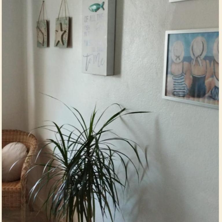 apartement avec parking prive - Appartement 2 Pièces - 9